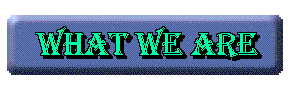 We are what we collect