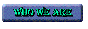 A bit about us